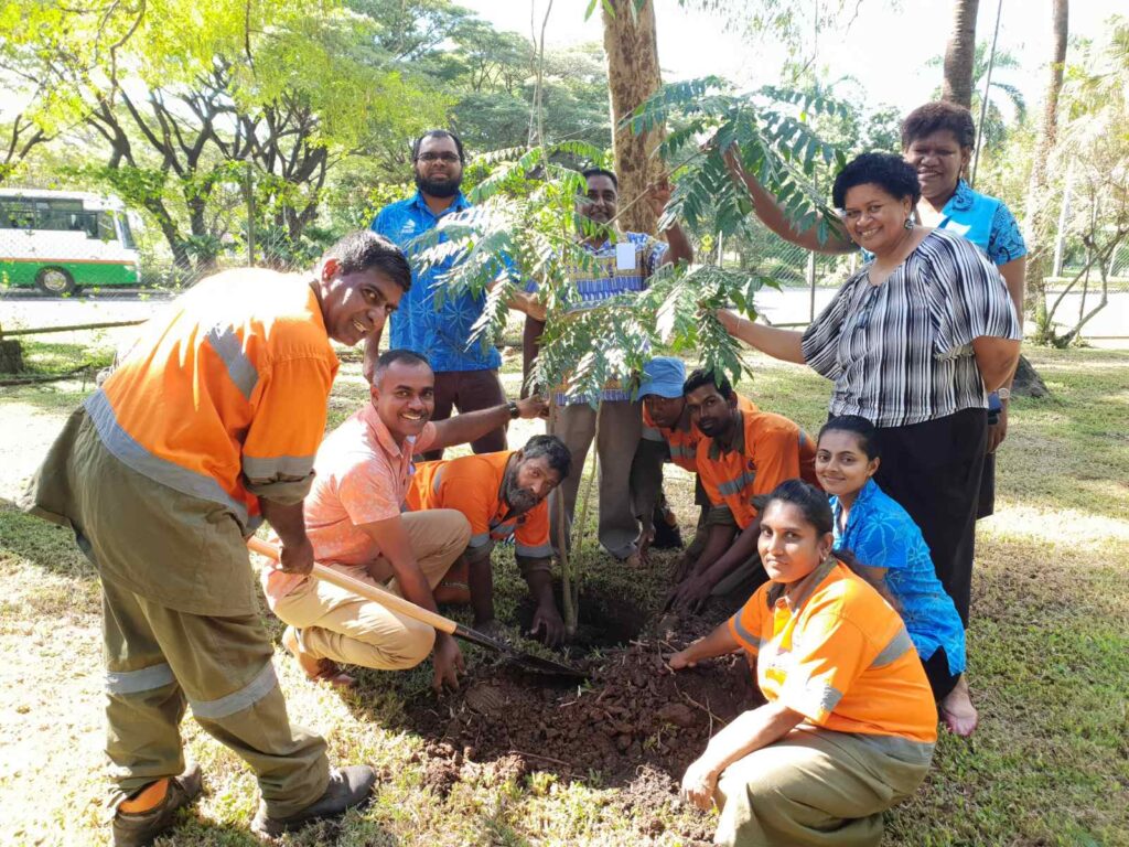 Council Workers Plant New Tree Species to Mark World Environment Day