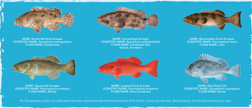 What Species are Banned?