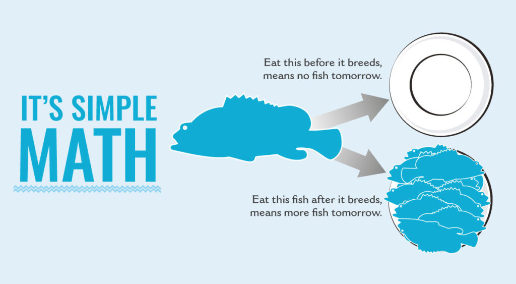 Why is ban needed for Kawakawa fish