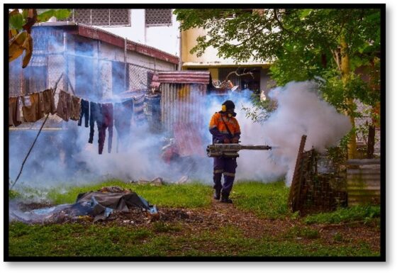 Council Calls for Collective Effort to Fight Dengue Outbreak